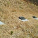 2022-주185 이미지
