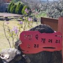 소리갤러리 이미지