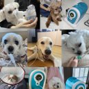 세이프비 이미지