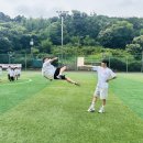 박사 경희대 태권도 이미지