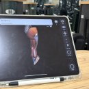 강서타워 앞 횡단보도(명지오션 3239-3) | [명지헬스장] 명지 판테온짐 : 최첨단 헬스기구 다량 보유한 명지헬스장