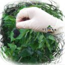 신목농장 이미지