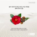 보타랩헤어 이미지