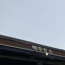 주유소가맥 이미지