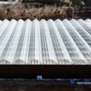 (주)비에스팜 이미지