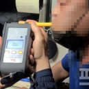 동해-단속-50 이미지