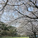 낙지뻘식당 이미지