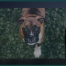 팔달대교 야경 이미지