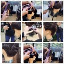 컷트전문 - 수원시 팔달구 | 컷트전문