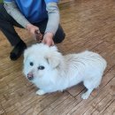 오리장낚시터 이미지