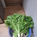 귀거래사 | 귀거래사 18