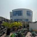 안녕김녕아 이미지