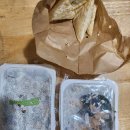 신참떡볶이 강남자곡점