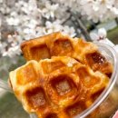 아덴블랑제리우동동부 이미지