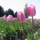 좋은생각 이미지