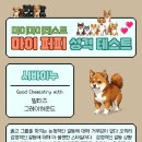 마이퍼피 네이버블로그