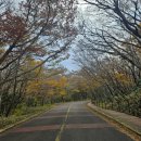 노루공원화장실 | [제주 여행] 한라산 영실코스탐방 주차장 + 한라산 국립공원 주차비 인상예정 정보/ 예래헬스사우나