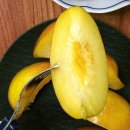 과일왕 | 프리미엄 산지직송 제철과일 추천 직송장터 의성옥자두 왕자두 후기