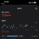 노랑무지개