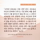 쓰담쓰다