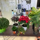 예삐농원 이미지