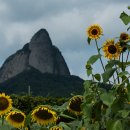 진안읍 1376 이미지