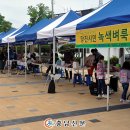 YMCA 녹색장터 이미지