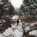 임피면사무소 이미지