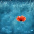 오월에윤 이미지