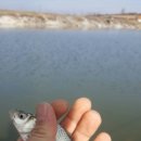 이현소류지 이미지