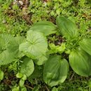 해오름농장-2 이미지