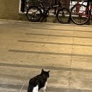 한일세차장 이미지