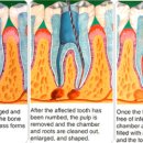 연세정의원 이미지