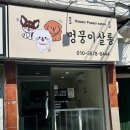 멍뭉이네 살롱 이미지