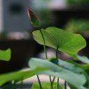 대덕문화원 이미지