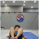 리더태권도장 이미지