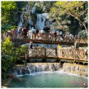 상상그린 G. HOUSE | 트래블라오 루앙프라방 1일 투어! 전용 밴으로 꽝시폭포와 시내 관광지 클리어