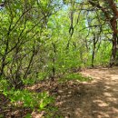 코스오토 이미지