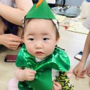 도로시의숲 이미지