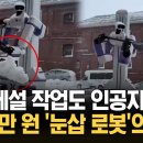 몸만 한 눈삽 들고 '낑낑' "로봇이 눈도 치워준다" 화제 이미지
