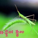 너참;예쁘다