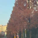 (주)베르만 | D+163 수요고개, 베르만 어패럴 와플티, 어깨 데이, 부기샵 팬츠, 유지어터 식단, 요즘 핫한 네스클...