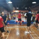 화랑복싱클럽 이미지