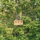 대아주유소 이미지