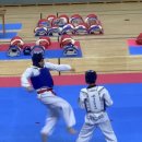 큰뿌리태권도 이미지