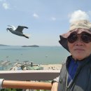 서해 용유도 바닷가에서 (바캉스-4)를 보냈습니다. 이미지