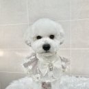 와니살롱 이미지