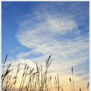 문의중학교 이미지