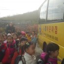 창원 자연숲 어린이집 이미지