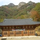 보흥사 - 1234 | 보흥사